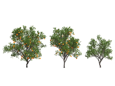 Three Lush Green Trees Bearing Orange Fruits And Vibrant Leaves 3d model