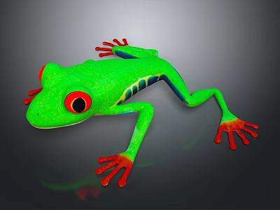 Vibrant Green Frog With Red Eyes And Red Toes On Black Background 3d model