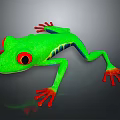 Vibrant Green Frog With Red Eyes And Red Toes On Black Background