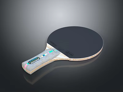 Daily Use Table Tennis Racket With Comfortable Handle And Durable Surface 3d model