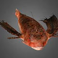 Orange Red Fish With Dark Spots And Large Fins Distinctive Appearance