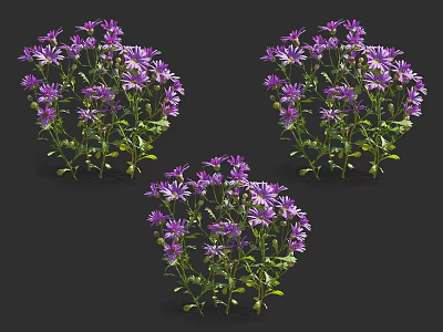 Beautiful Three Purple Flower Bouquets with Green Leaves on Black Background 3d model