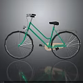 Classic Green Bicycle With Rear Rack Silver Spokes And Vintage Style Design