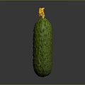 Fresh Green Spiky Cucumber With Yellow Blossom On Gray Background