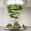 Indoor Garden Decor With Hanging Spiral Plants Moss And Circular Stone Base