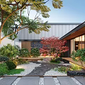 Serene Courtyard Garden With Stone Path Red Maple Trees And Modern House Design