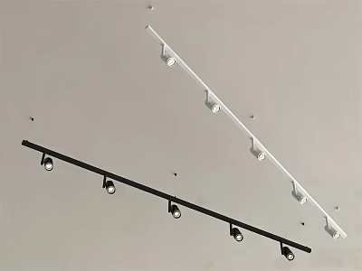 Black and White Track Mounted Downlights and Spotlights for Ceiling Lighting 3d model