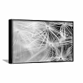 Black and White Dandelion Plant Painting Framed for Interior Wall Decor