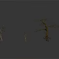 Three Dead Trees with Various Shapes on White Background with Reflections