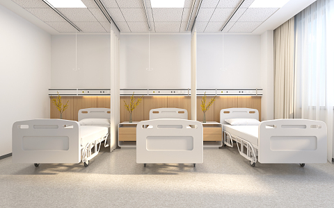 Modern Ward Hospital Ward Three Room 3d model