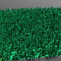 Lush Green Grass With Dense Blades And Vibrant Carpet Texture