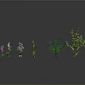 Cartoon Style Garden Scene with Various Trees Flowers and Green Plants