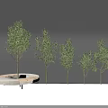 Trees of Various Sizes with Central Circular White Structure in Garden Landscape