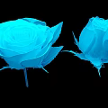 Two Blue Roses One Blooming and One Bud Displayed on Black Background 3d model