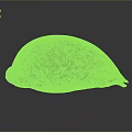 Detailed Biological Organ With Fine Hair Texture And Natural Surface Features