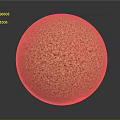 Detailed View Of Organic Wheat Grains Forming Spherical Food Shape