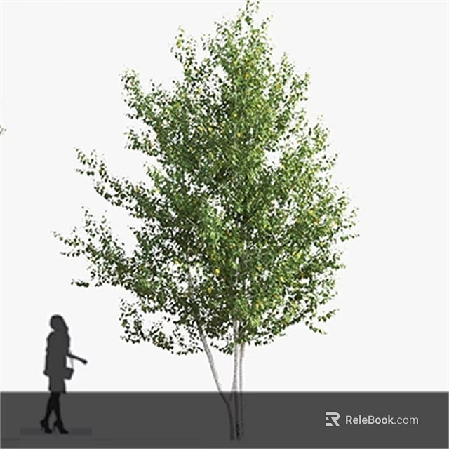 Tall Arbor With Lush Green Foliage And Silhouette Of Person Walking Outdoors 3d model 