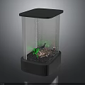 Small Transparent Glass Terrarium With Green Plants Rocks Bubbles Black Base And Lid