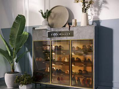 Elegant Modern Shoe Cabinet With Glass Doors Golden Frames And Interior Lighting 3d model