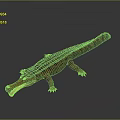 Crocodile Alligator Nile Crocodile carnivore reptile cold-blooded animal reptile 3d model