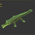 Crocodile Alligator Nile Crocodile carnivore reptile cold-blooded animal reptile reptile 3d model