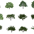 The Modern Tree 3d model