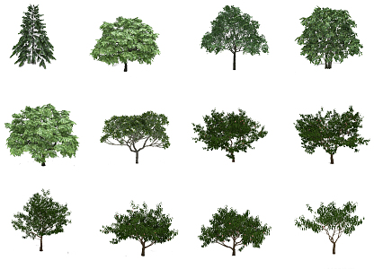 The Modern Tree 3d model