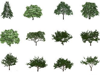 The Modern Tree 3d model