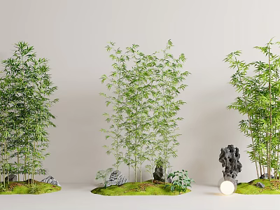 Bamboo Landscape With Moss Rocks And Decorations 3d model