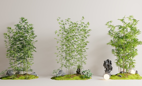 Modern bamboo 3d model