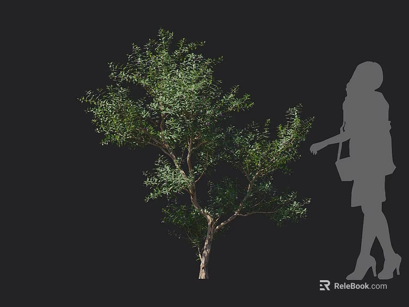 Lush Green Shrub With Dense Foliage And Human Silhouette For Size Reference 3d model
