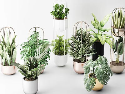 Stylish Bonsai Potted Plants With Metal Frame Planters And Varied Green Foliage 3d model