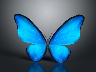 Modern Butterfly Colored Butterfly Tabby Butterfly Leaf Butterfly 3d model