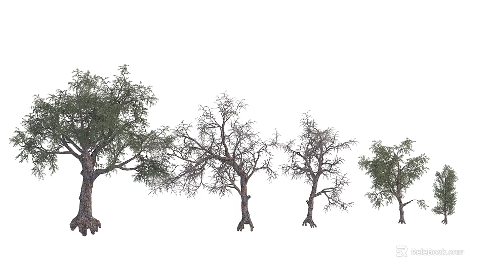 Various Trees In Different States With Leafy And Leafless Trunks And Roots 3d model