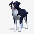 Black and White Border Collie Dog 3D Model Standing With Friendly Expression 3d model