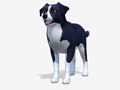 Black and White Border Collie Dog 3D Model Standing With Friendly Expression 3d model