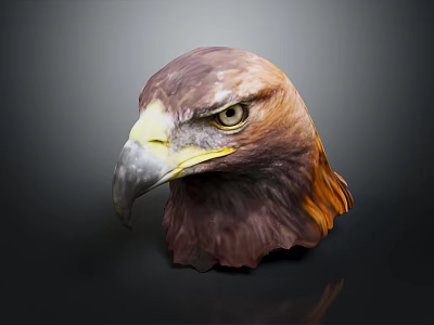 Detailed Realistic Eagle Head Sculpture With Brown Yellow Feathers And Sharp Eyes 3d model