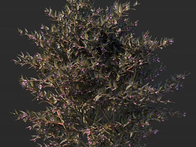 Lush Shrub with Green Leaves Purple Flowers and Dense Branches in Garden 3d model