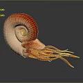 Red Reptile Featuring Spiral Shell and Long Tentacles on Dark Surface 3d model