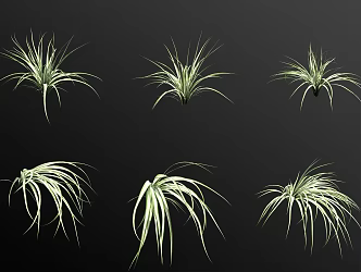Silver edge hanging orchid flowers and plants 3d model