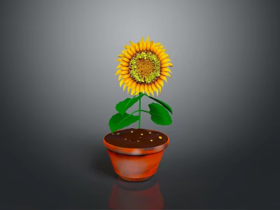 Beautiful Sunflower Plant in Terracotta Pot with Green Leaves and Yellow Petals 3d model