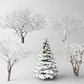 Snow Covered Deciduous And Evergreen Trees In Winter 3d model