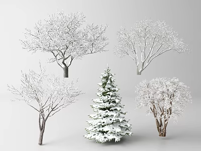 Snow Covered Deciduous And Evergreen Trees In Winter 3d model