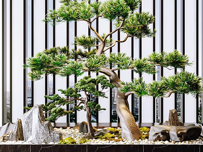 Artistic Bonsai Plant With Lush Pine Branches Decorative Rocks And Natural Moss 3d model