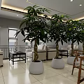 Spacious Modern Hotel Public Lounge Area With Comfortable Sofas Coffee Tables Wall Art And Lighting