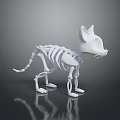 White Cat Skeleton Model 3D Rendered On Dark Background With Reflective Surface 3d model