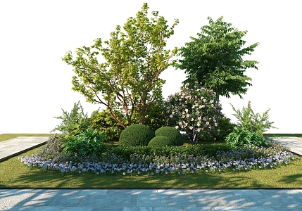 Modern Shrub Plant Combination 3d model