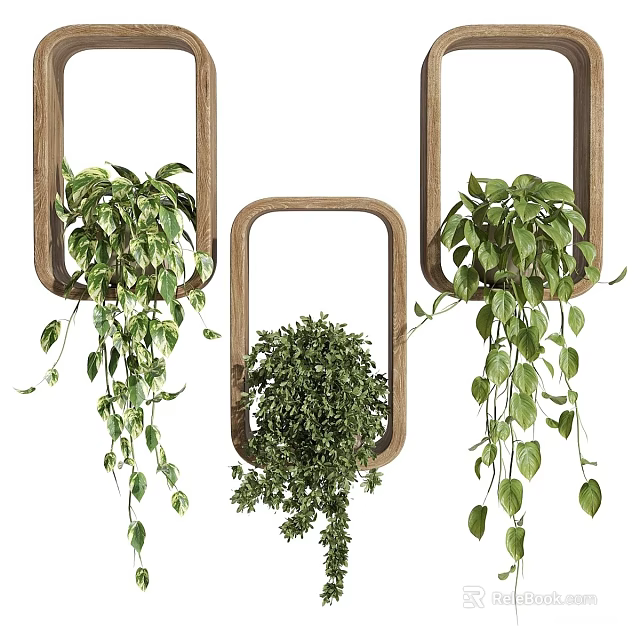 Decorative Indoor Hanging Basket Plants With Wooden Frame And Trailing Green Foliage 3d model 