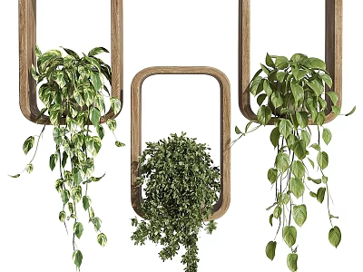 Decorative Indoor Hanging Basket Plants With Wooden Frame And Trailing Green Foliage 3d model