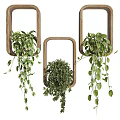 Decorative Indoor Hanging Basket Plants With Wooden Frame And Trailing Green Foliage